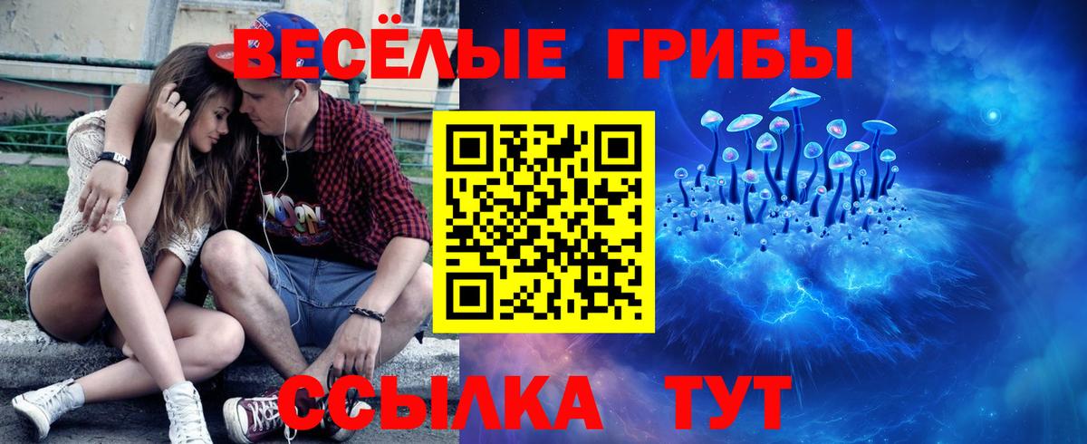Псилоцибиновые грибы GOLDEN TEACHER  Вход с VPN  Псилоцибиновые грибы ЛСД  Муром 
